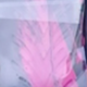 Pink And Black Abstract Pattern