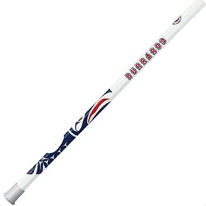 sc-ti-burrards-home-shaft