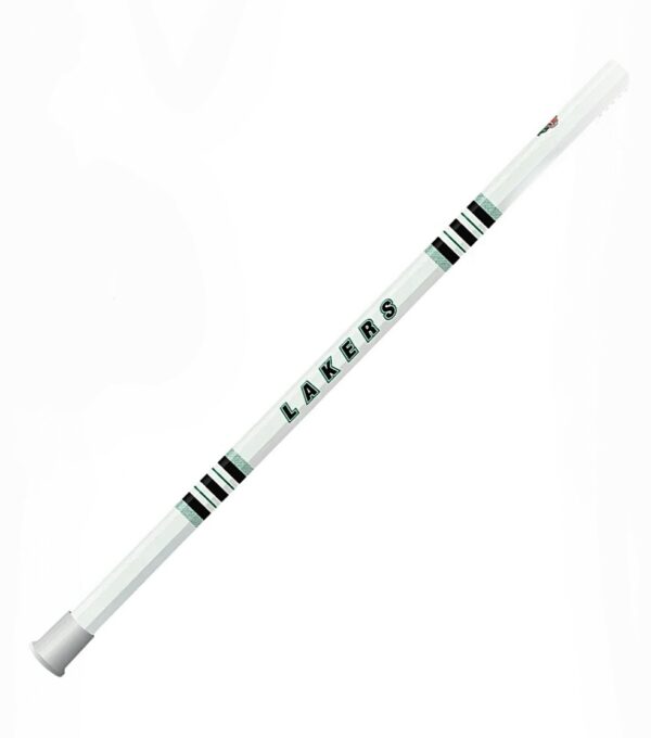 Burnaby Home Shaft